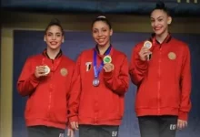 «وزير-الرياضة»-يهنئ-«اتحاد-الجمباز»-على-الإنجاز-الأفريقي-بحصد-8-ميداليات