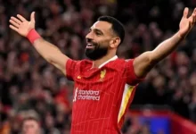 صلاح-يسعى-لاصطياد-«طيور-النورس»