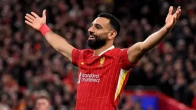 صلاح-يسعى-لاصطياد-«طيور-النورس»